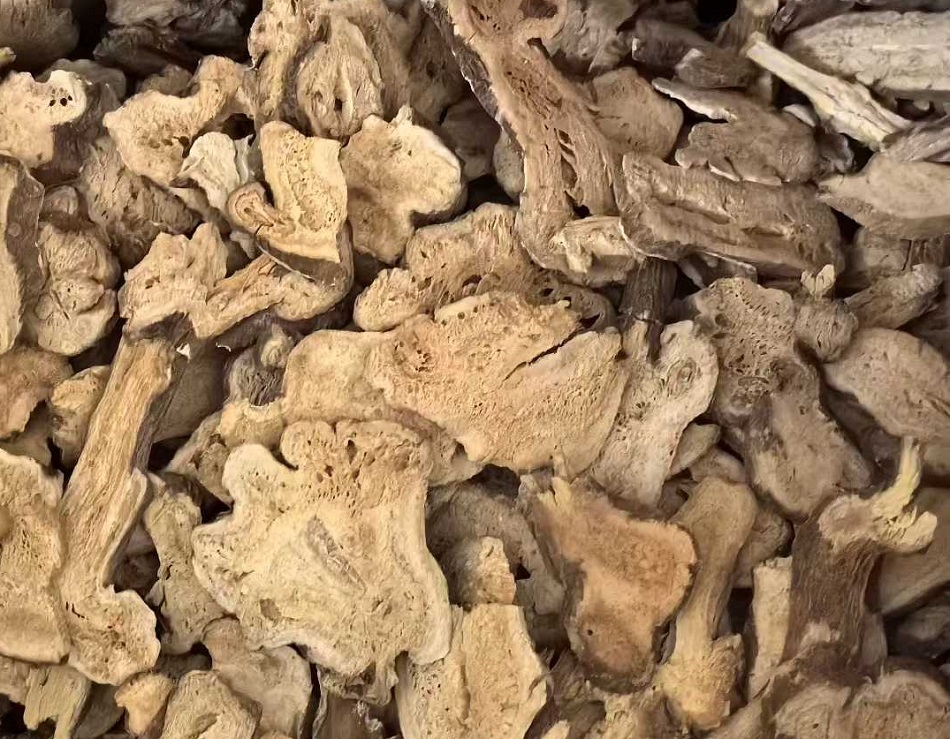 中型炒貨設備